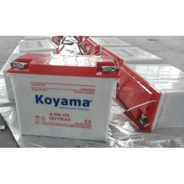 Koyama 12V Elektrische Dreirad Rohrplattenbatterie 170ah